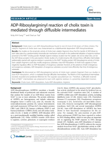 ADP-Ribosylargininyl reaction of cholix toxin is mediated through