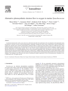 Alternative photosynthetic electron flow to oxygen in
