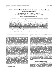 Organic Matter Mineralization withReduction of