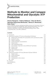 Methods to Monitor and Compare Mitochondrial and Glycolytic ATP