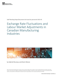 Exchange Rate Fluctuations and Labour Market Adjustments in
