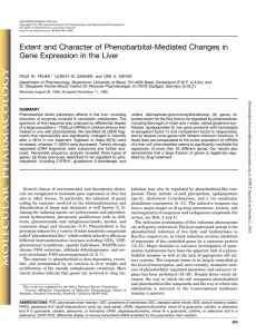 Extent and Character of Phenobarbital