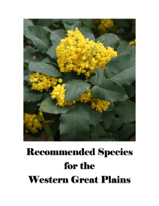 Recommended Species for Western Great Plains