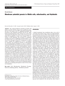 Membrane potential genesis in Nitella cells, mitochondria, and