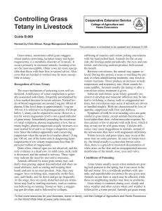 Controlling Grass Tetany in Livestock