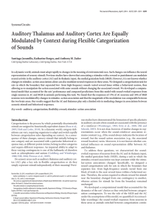 Auditory Thalamus and Auditory Cortex Are Equally Modulated by