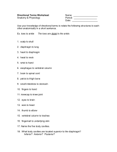 Directional%20Terms%20Worksheet