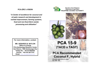 PCA 15-9 Variety of Coconut