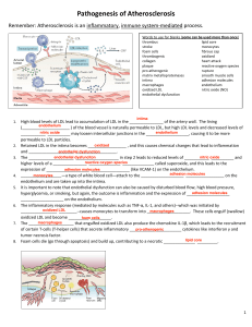 Pathogenesis of Atherosclerosis with Fill-in-the Blanks