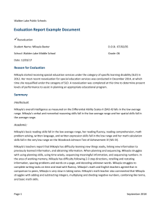 Evaluation Report Example Document 9.2018
