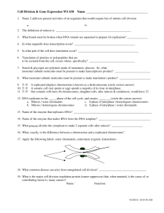 Worksheet Cell Division and Gene Expression