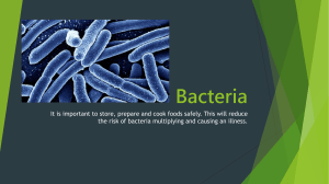 Bacteria - food safety