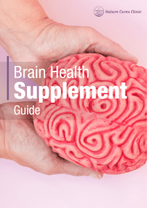 Brain Supplement Guide