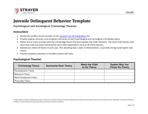  juvenile delinquent behavior template