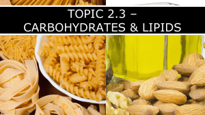 2.3 - Carbohydrates   Lipids