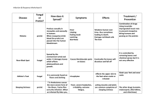 Infection & Response Worksheet 8 summary table F support (1)