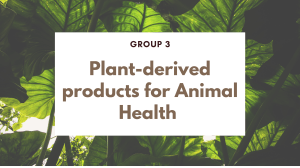 Plant-derived Products for Animal health