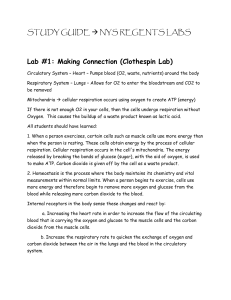 STUDY GUIDE Living Environment state labs (diffusion and making connections)