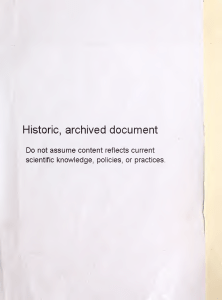 my first document (Historical)