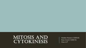 Mitosis and cytokinesis