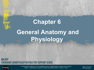 Chapter-6-Anatomy-Physiology-Milady