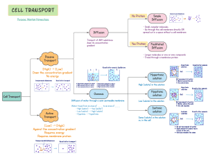 Cell Transport Review Concept Map