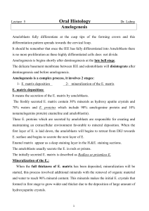amelogenesis lec 5 pdf