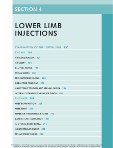 Lower Limb Injections (knee)