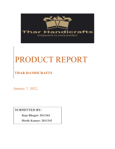peroduct report by raja bhagat and hirtik kumar