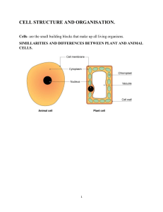 CELL STRUCTURE AND ORGANISATION NOTES - Copy - Copy