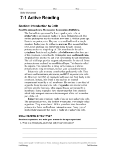 7-1 active reading