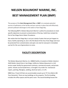 2021 BMP stormwater waste pollution prevention program