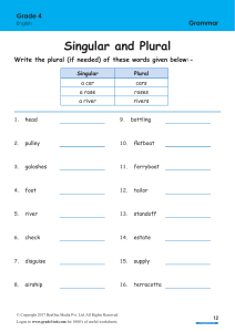 Singular Plural Worksheets Free for Grade 4 Class 4 IB  CBSE ICSE K12 