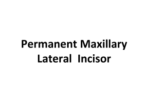 Maxillary Lateral Incisors pdf