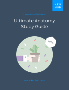 ultimate anatomy study guide