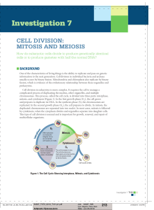 bio lab7-celldivisionmitosisandmeiosis