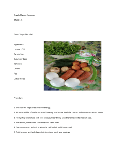 Vegetables Salad and Appetizer-WPS Office