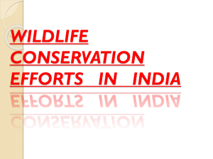 WILDLIFE   CONSERVATION EFFORTS   IN   INDIA
