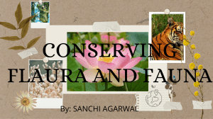 Flaura  and Fauna