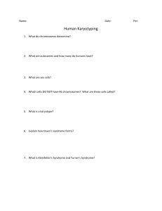 Karyotyping questions