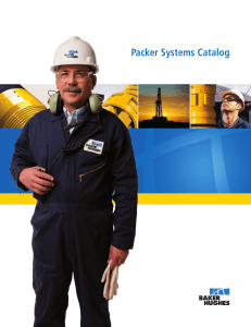 Packer Systems Catalog