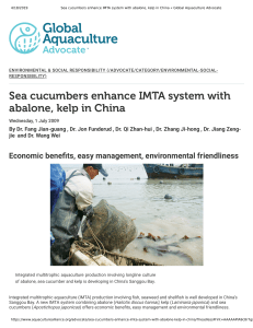 sea-cucumbers-enhance-imta-system-with-abalone-kelp-in-china