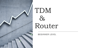 TDM & Router - beginner level