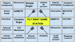 Fly Swat Game 
