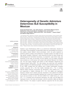 Heterogeneity of Genetic Admixture determines SLE Susceptibility in Mexican 