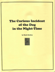 The Curious Incident of the Dog in the night time - study questions