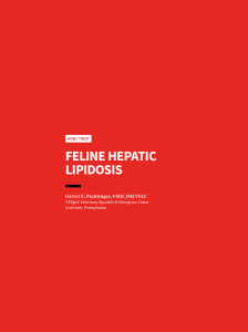 Feline hepatic lipidosis - 2018
