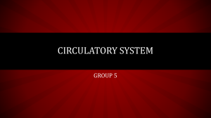 Circulatory System Presentation