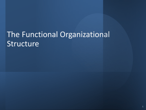 Functional Org structure