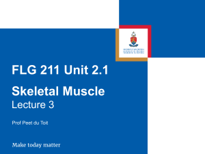 FLG 211 Unit 2-1 -  Skeletal Muscle - Lecture 3  (Handout)
